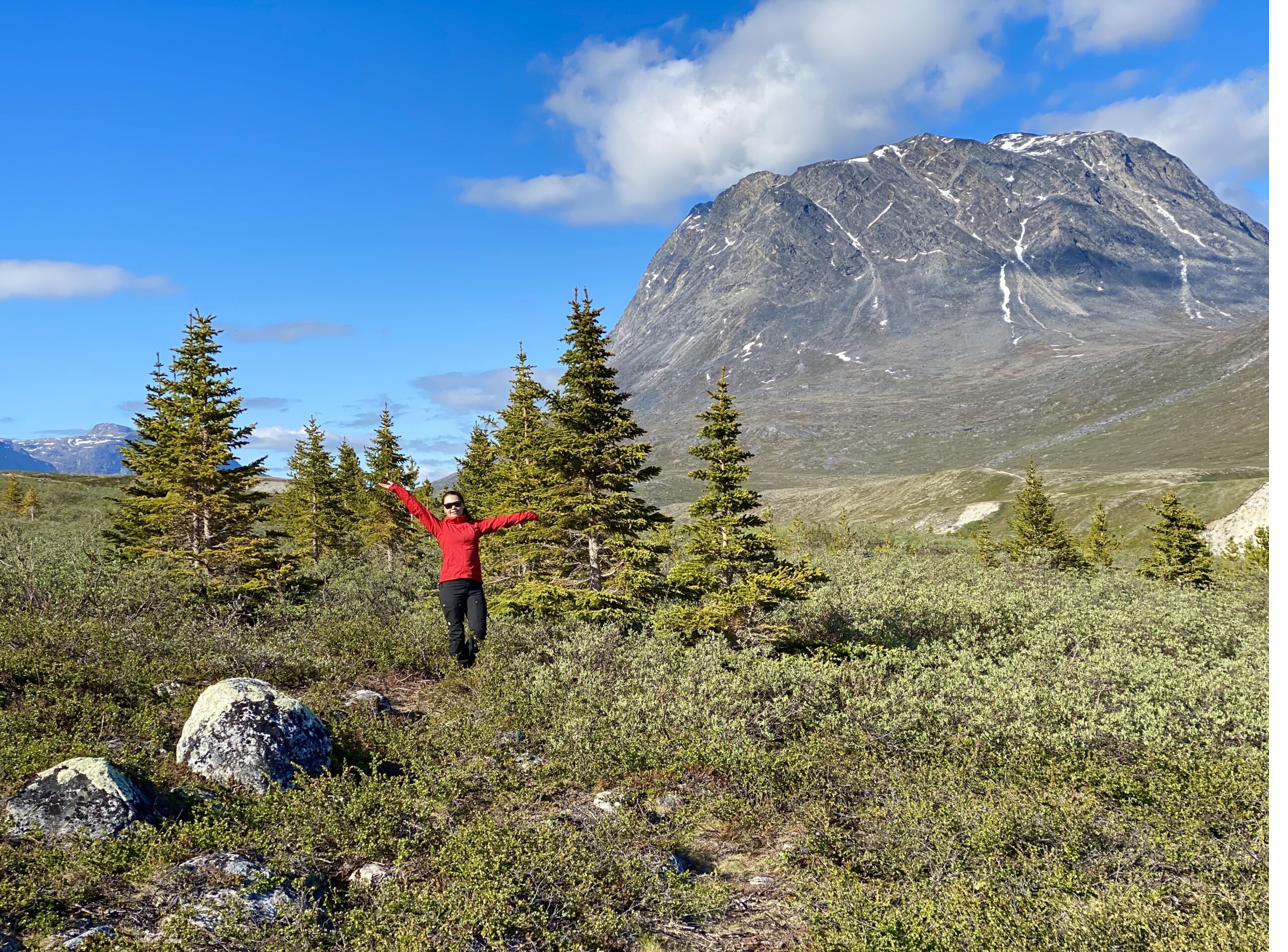 Vandrer i fjeldbirk med udsigt til fjeldet ved Qooqqut